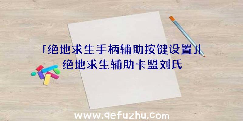 「绝地求生手柄辅助按键设置」|绝地求生辅助卡盟刘氏